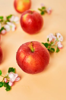 Elma çiçekleri ve olgun kırmızı elmalar turuncu bir arka planda, meyveler ve çiçekler, sping konsepti üzerinde yatıyorlardı. Üst görünüm