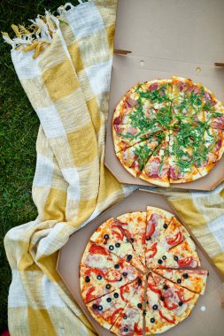 Çimlerin üzerindeki yemek kutusunda iki pizza, piknik konsepti, üst manzara, fotokopi alanı. Yemeği, fast wood 'u, İtalyan pizzasını dışarı çıkarın.