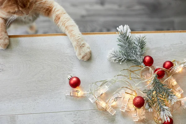 Evde Noel toplarıyla oynayan sevimli bir İngiliz Kedisi, Noel süsleriyle masaya pençe, Noel kedisi, yeni yıl manzarası, fotokopi alanı.