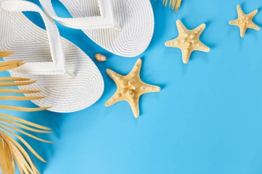 Düz yaz kompozisyonu, Tropikal palmiye yaprakları, beyaz fiske, pastel mavi arka planda deniz kabukları, yaz tatili konsepti, üst görünüm, kopyalama alanı
