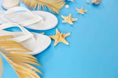 Düz yaz kompozisyonu, Tropikal palmiye yaprakları, beyaz fiske, pastel mavi arka planda deniz kabukları, yaz tatili konsepti, üst görünüm, kopyalama alanı