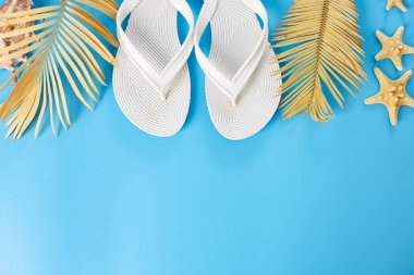 Düz yaz kompozisyonu, Tropikal palmiye yaprakları, beyaz fiske, pastel mavi arka planda deniz kabukları, yaz tatili konsepti, üst görünüm, kopyalama alanı