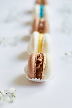 Farklı Fransız kurabiyelerinden oluşan üst manzara seti, beyaz arka planda çiçekli pasta makaronları, renkli badem kurabiyeleri, pastel rengi...