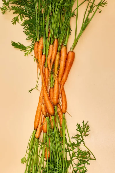 Плоская Куча Свежесобранной Моркови Стеблей Моркови Свежие Органические Овощи Продажа — стоковое фото