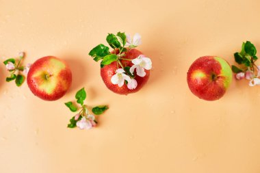 Elma çiçekleri ve olgun kırmızı elmalar turuncu bir arka planda, meyveler ve çiçekler, sping konsepti üzerinde yatıyorlardı. Üst görünüm