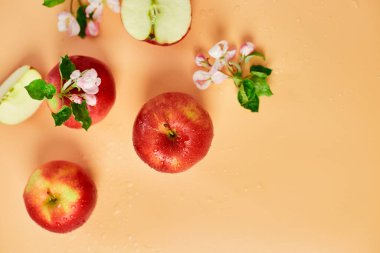 Dilimlenmiş, bütün kırmızı elma ve çiçekler pastel turuncu arka planda bir düz, meyveler ve çiçekler, sping konsepti. Üst görünüm