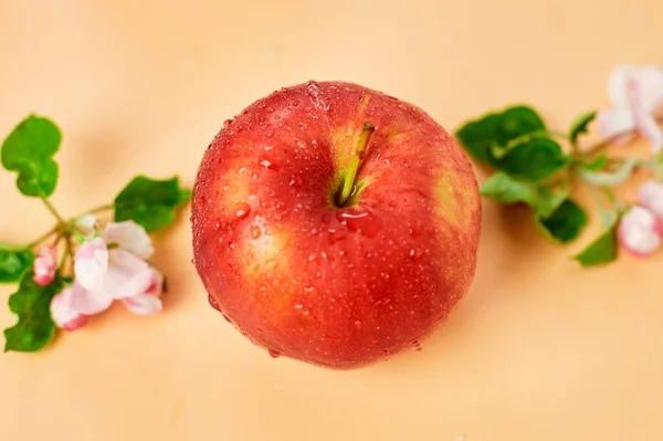 Apple flowers and ripe red apples flat lay on a pastel orange background, Fruits and flowers, sping concept. Top view