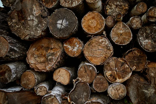 乾燥したみじん切り のこぎり木製のログ木製の棒のテクスチャ 木材や木材産業の概念 — ストック写真