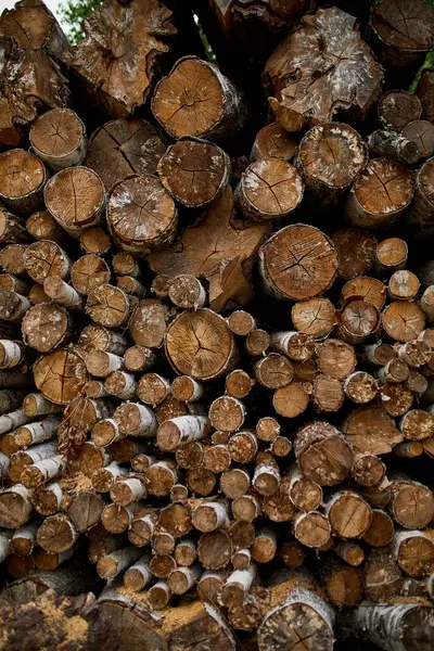 乾燥したみじん切り のこぎり木製のログ木製の棒のテクスチャ 木材や木材産業の概念 — ストック写真