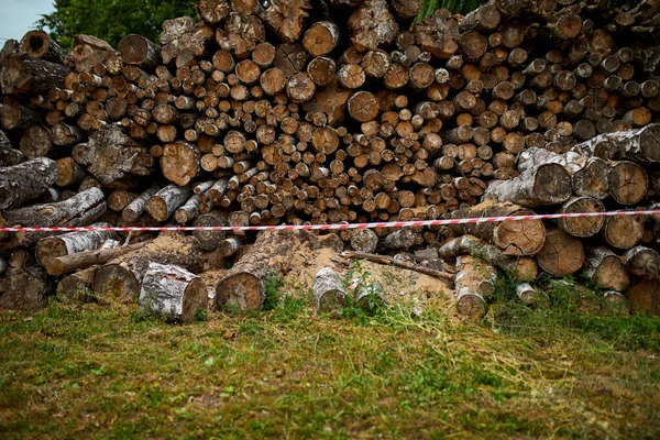 Rode Witte Slagboom Waarschuwingstape Bewegwijzering Voor Veiligheid Droog Gehakt Gezaagd — Stockfoto