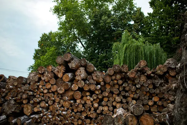 Droog Gehakt Gezaagd Hout Hout Hout Paal Textuur Hout Hout — Stockfoto