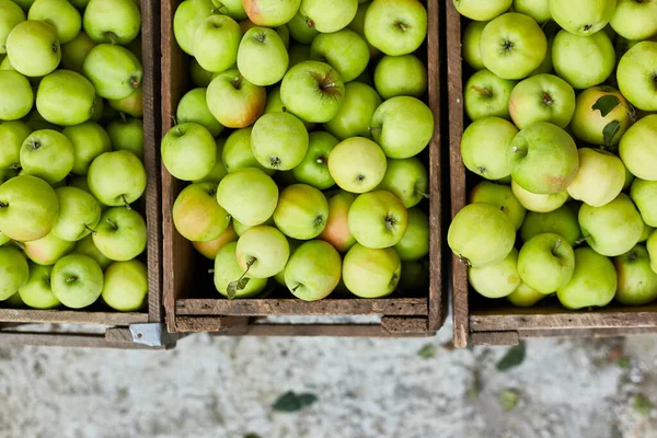 Pommes Vertes Fraîches Sur Les Boîtes Bois Récolte Espace Pour — Photo