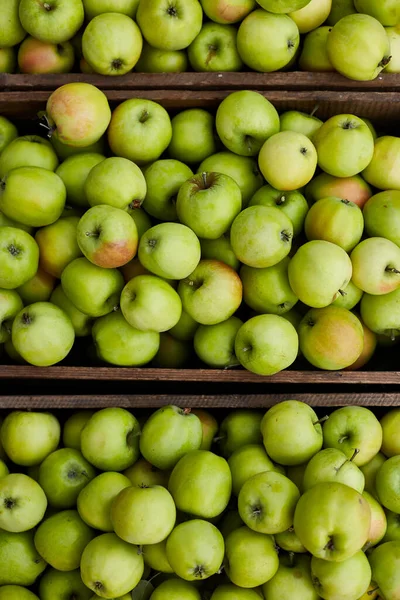 Pommes Vertes Fraîches Sur Les Boîtes Bois Récolte Espace Pour — Photo