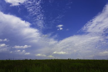 Yeşil tarla ve açık bulutlu mavi gökyüzü