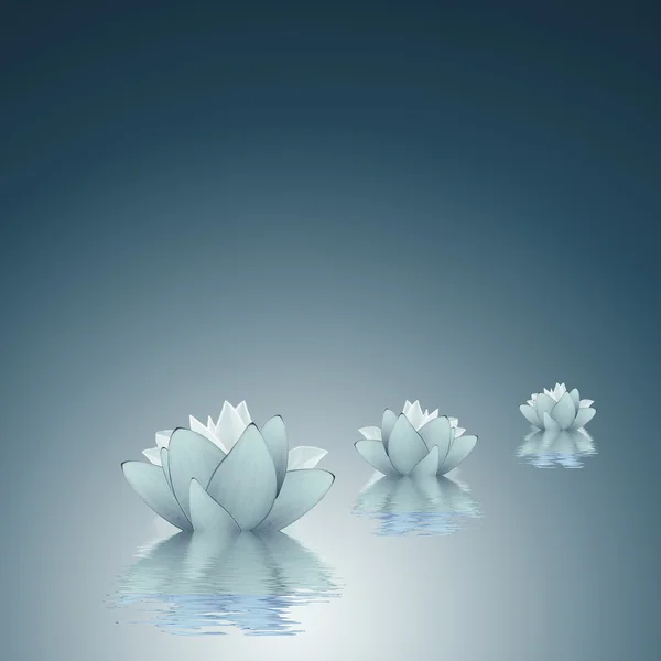 Lotus - saflık arka plan