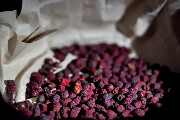 Drying cranberries. Selective focus on berries. Close up