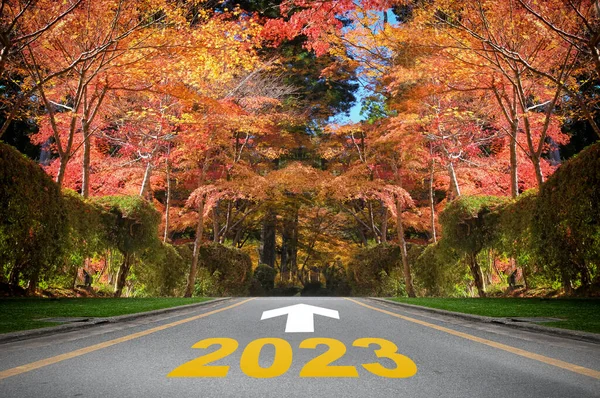 Ano Novo 2023 Símbolo Seta Marcando Estrada Montanha Com Árvores — Fotografia de Stock