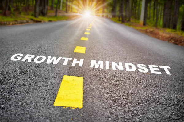 Growth Mindset Sunbeam Road Surface Journey Self Development Success Concept — Stockfoto