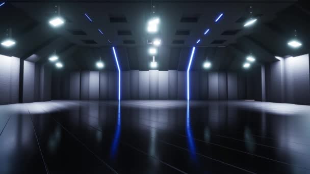 Grand Entrepôt Vide Avec Des Lumières Réfléchissantes Plancher — Video