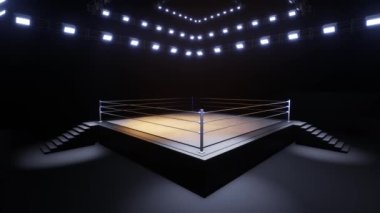 Spor güreşi ve boks. Spor 4K profesyonel arkaplan canlandırması