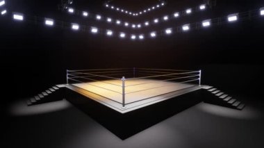 Spor güreşi ve boks. Spor 4K profesyonel arkaplan canlandırması