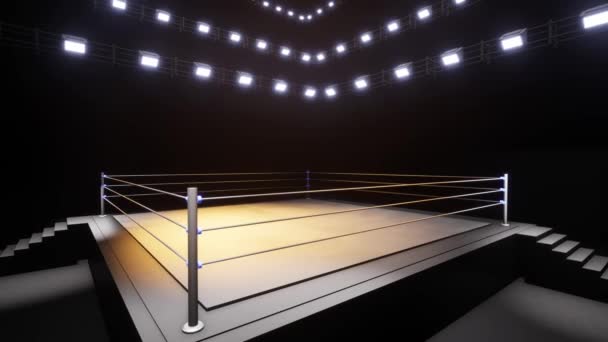 Sports Wrestling Boxing Sport Professional Background Animation — ストック動画