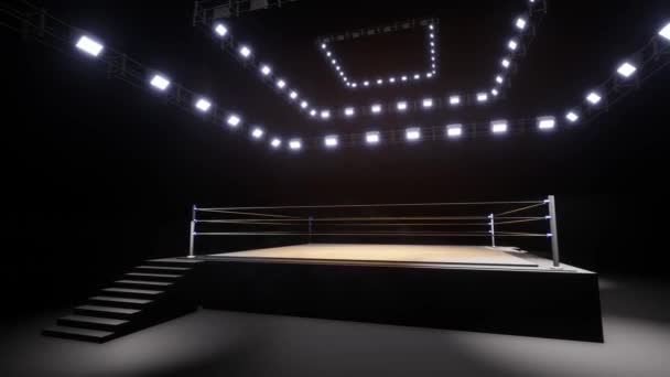 Sports Wrestling Boxing Sport Professional Background Animation — стоковое видео