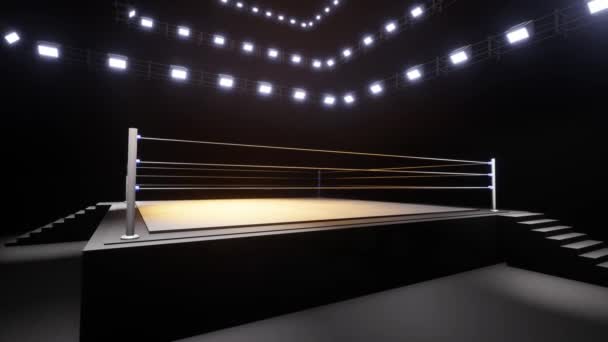 Αθλητική Πάλη Και Πυγμαχία Αθλητισμός Επαγγελματική Animation Υπόβαθρο — Αρχείο Βίντεο
