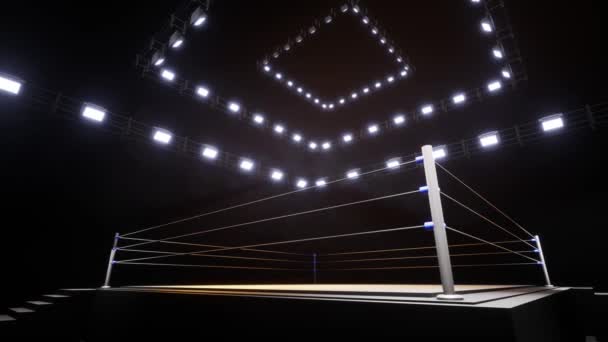 Sports Wrestling Boxing Sport Professional Background Animation — Stockvideo