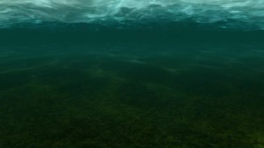 Sualtı Sahnesi, Hareket Grafiği Videosu