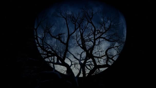 Φεγγάρι Πίσω Από Αρχαία Κλαδιά Δέντρου Λήξη Χρόνου — Αρχείο Βίντεο