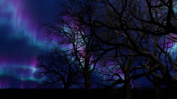 Northern Lights Aurora Světla Krásné Romantické Pozadí Časová Prodleva Oblohy — Stock video