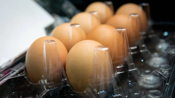 Close up view of row of chicken eggs in a plastic egg tray. Chicken egg as a valuable nutritious product, a tray for carrying and storing fragile eggs. A package of eggs with different grade.