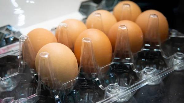 Close up view of row of chicken eggs in a plastic egg tray. Chicken egg as a valuable nutritious product, a tray for carrying and storing fragile eggs. A package of eggs with different grade.