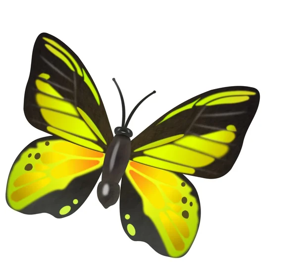Ilustración mariposa amarilla —  Fotos de Stock