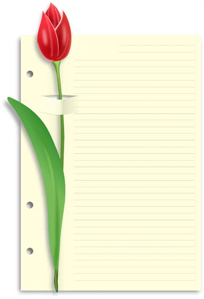 Rote Tulpe auf geschnittenem liniertem Papier — Stockfoto