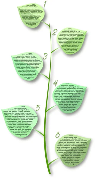 Flover stem with leafs with places for text — Stock Photo, Image