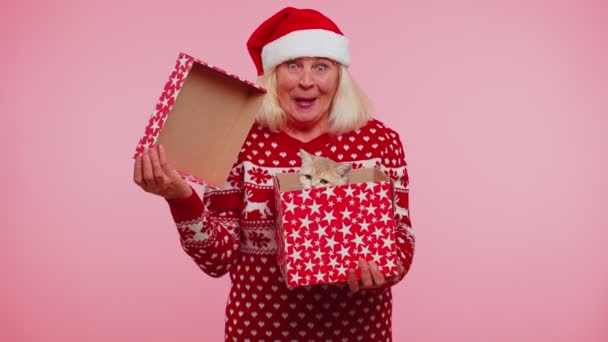 Бабушка в рождественском свитере улыбается, разворачивает подарок, открывает коробку с домашней кошкой, большой сюрприз — стоковое видео