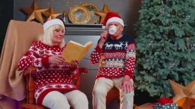 Büyükanne, büyükanne Noel sohbetinin tadını çıkarıyor, sıcak çay içiyor, kitap okuyor.