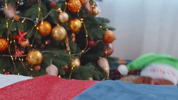 Маленька дівчинка з Санта-Клауса Ельф Піжама ховається за ліжком, граючи в хованки і шукаючи гру, ялинка. — стокове відео