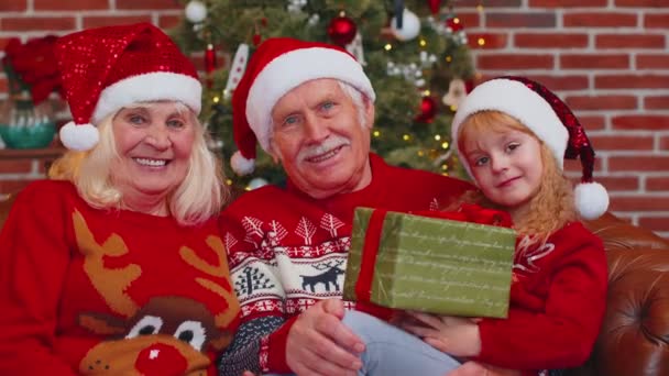 Starsi dziadkowie z wnuczką w czapce Świętego Mikołaja świętują w domu przy choince — Wideo stockowe