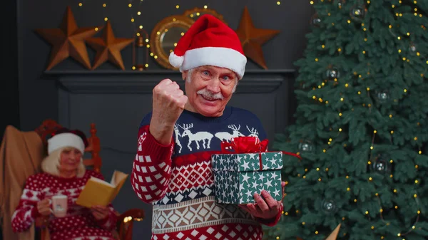 Starszy dziadek w świątecznym swetrze świętować sukces wygrać krzyk robi zwycięskie ręce gest — Zdjęcie stockowe