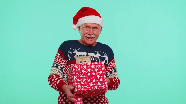 Дедушка в рождественском свитере улыбается, разворачивает подарок, открывает коробку с домашней кошкой, большой сюрприз — стоковое фото