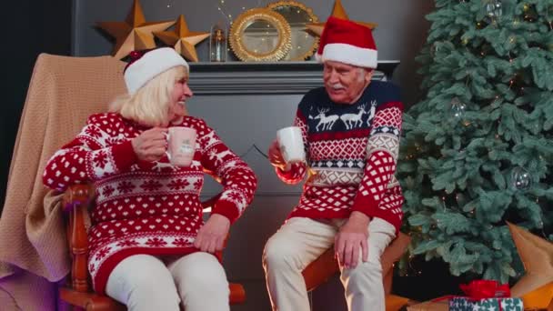 Starší babička, babička si užívá příjemného vánočního rozhovoru, doma pije horký čaj — Stock video