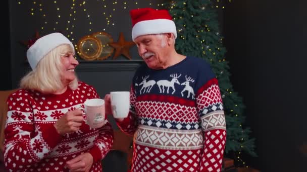 Abuela mayor, abuela disfrutando de una agradable conversación navideña, tomando té caliente en casa — Vídeo de stock