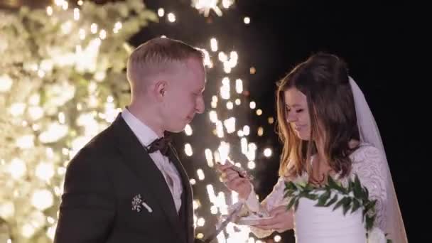 Newlyweds eating wedding cake, lovely bride and groom couple cutting dessert with a knife outdoors — Stockvideo