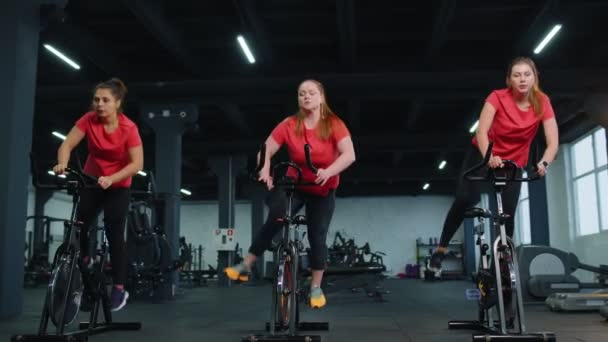 Grupo de meninas atléticas realizando exercícios de treinamento de equitação aeróbia em bicicleta estacionária de ciclismo no ginásio — Vídeo de Stock