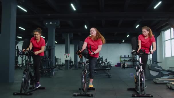 Athletic women group riding on spinning stationary bike training routine in gym, weight loss indoors — Stock Video