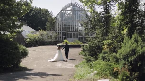 Lovely newlyweds caucasian bride groom walking in park, holding hands, wedding couple family — Stock Video