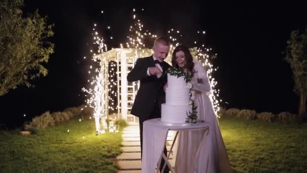 Newlyweds cut the wedding cake, lovely bride and groom couple cutting dessert with a knife outdoors — Vídeo de Stock